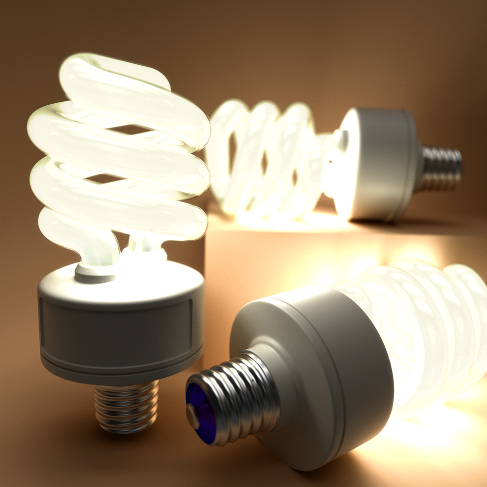 Compact Fluorescent Bulbs