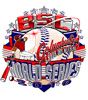 art_bsc_10ws_tn.jpg (34385 bytes)