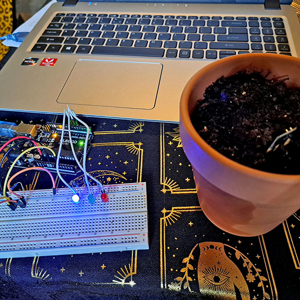 Science Fair Project - Soil Moisture Sensor - Too Wet